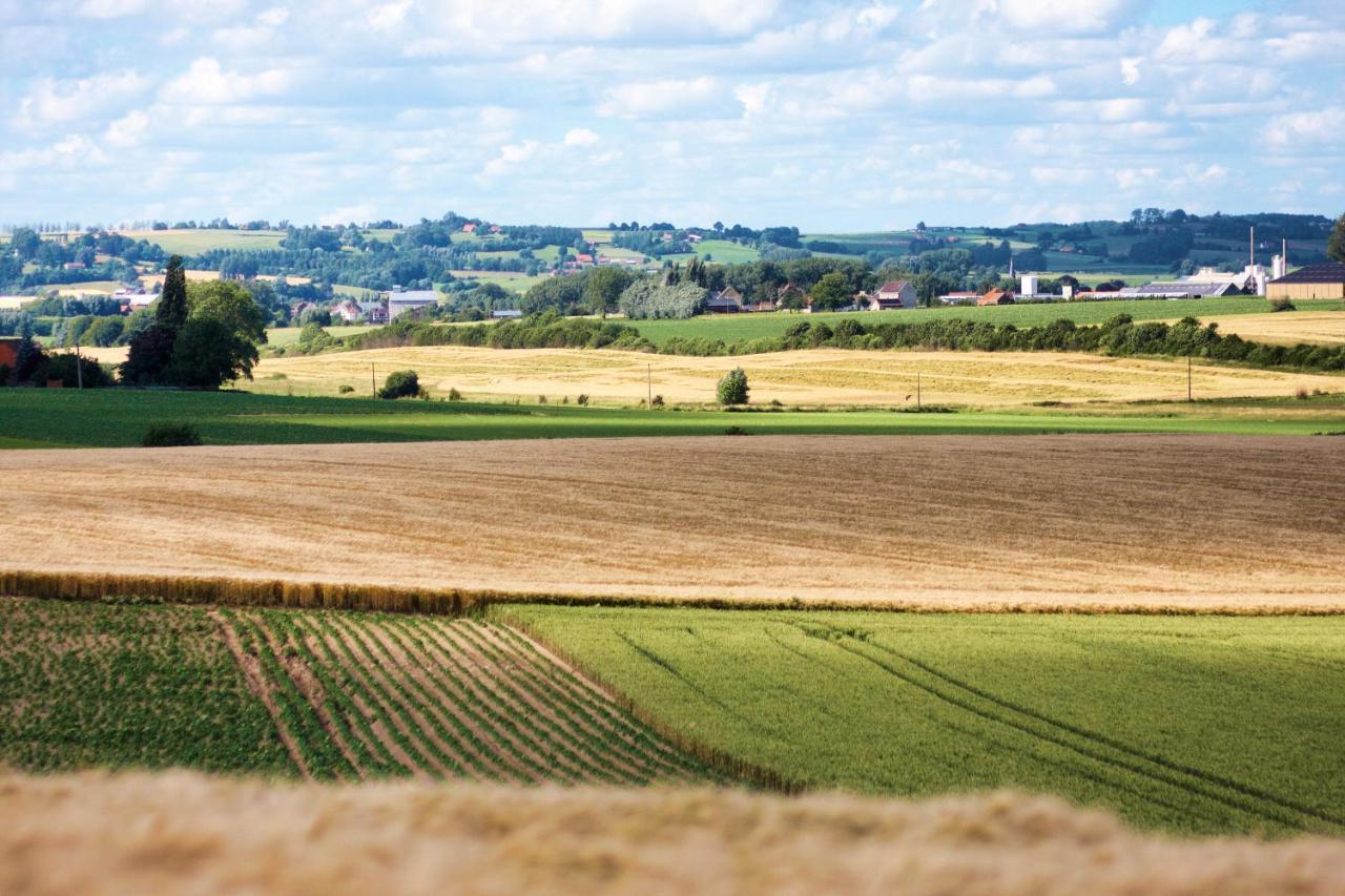 Gite Rural Les Petites Tetes Leuze-en-Hainaut Екстер'єр фото
