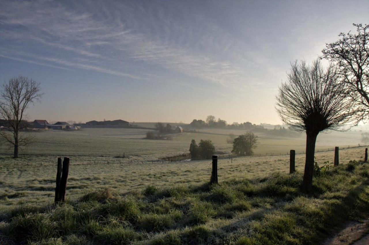 Gite Rural Les Petites Tetes Leuze-en-Hainaut Екстер'єр фото